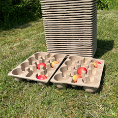 Paper Fibre Apple Storage Trays - Pack of 50