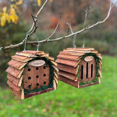 Wooden Hanging Butterfly & Ladybird Garden Bug Houses (Set of 2)