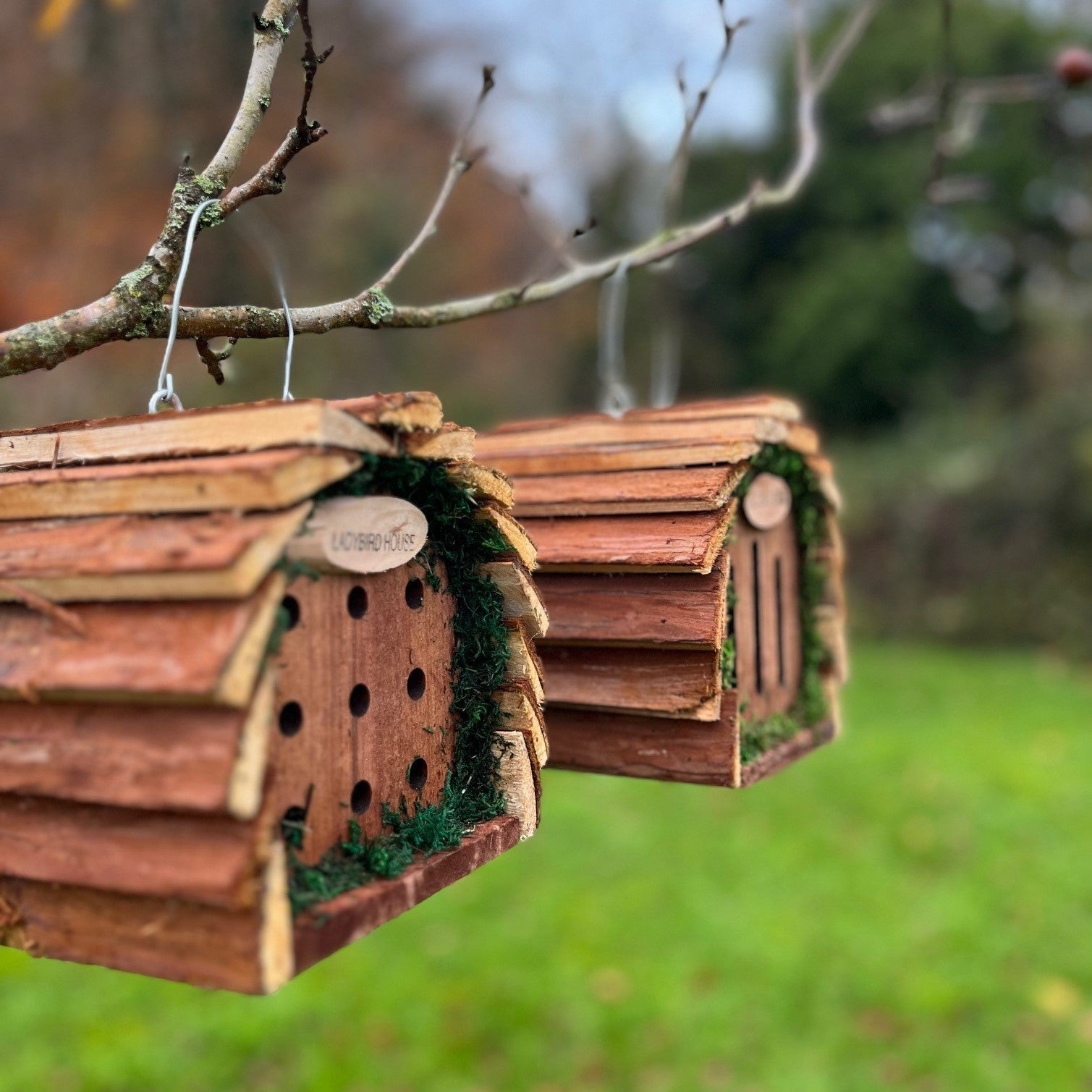 Wooden Hanging Butterfly & Ladybird Garden Bug Houses (Set of 2)