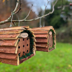 Wooden Hanging Butterfly & Ladybird Garden Bug Houses (Set of 2)