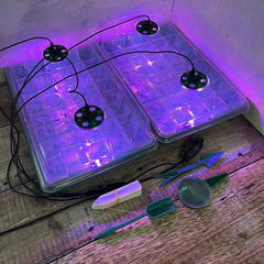Plant Propagator 40 Cell Seed Tray Set with Full Spectrum USB Grow Lights - Pack of 2