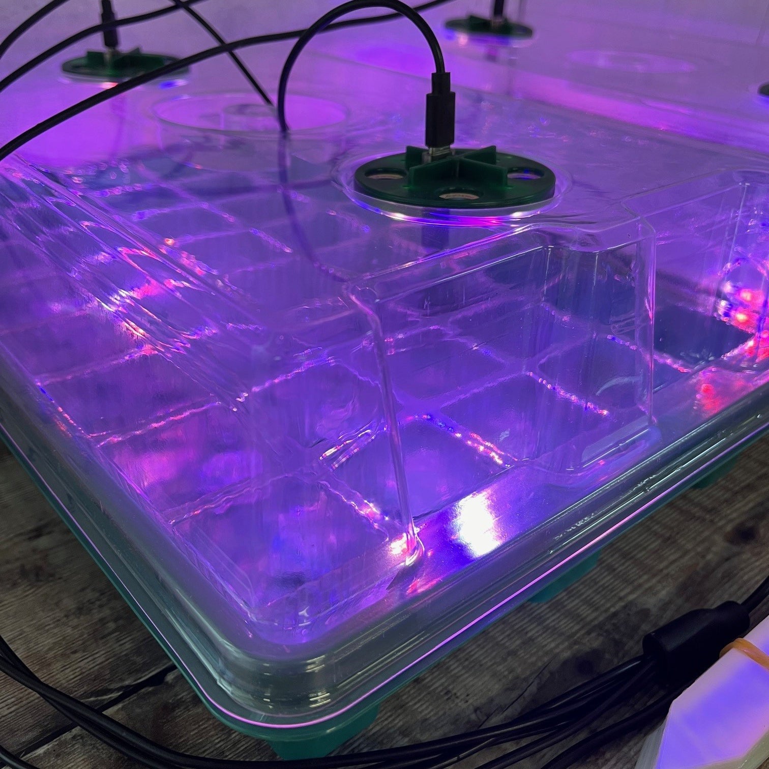 Plant Propagator 40 Cell Seed Tray Set with Full Spectrum USB Grow Lights - Pack of 2