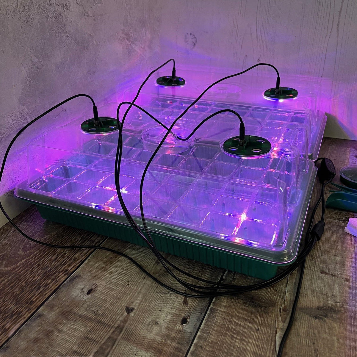 Plant Propagator 40 Cell Seed Tray Set with Full Spectrum USB Grow Lights - Pack of 2