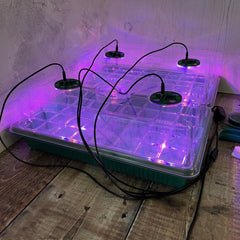 Plant Propagator 40 Cell Seed Tray Set with Full Spectrum USB Grow Lights - Pack of 2