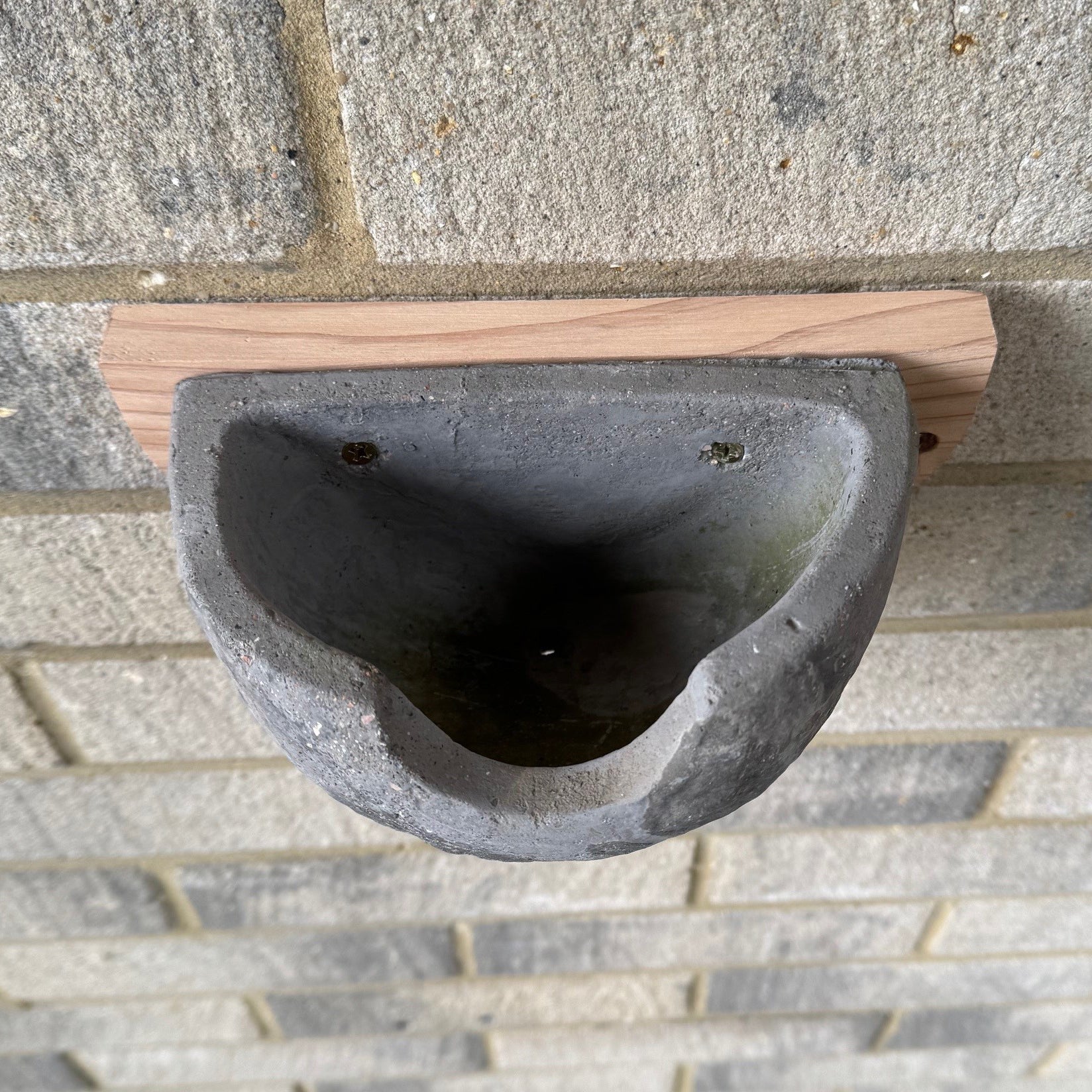 Concrete House Martin Bird Nest Box Rounded Half Cup Nester