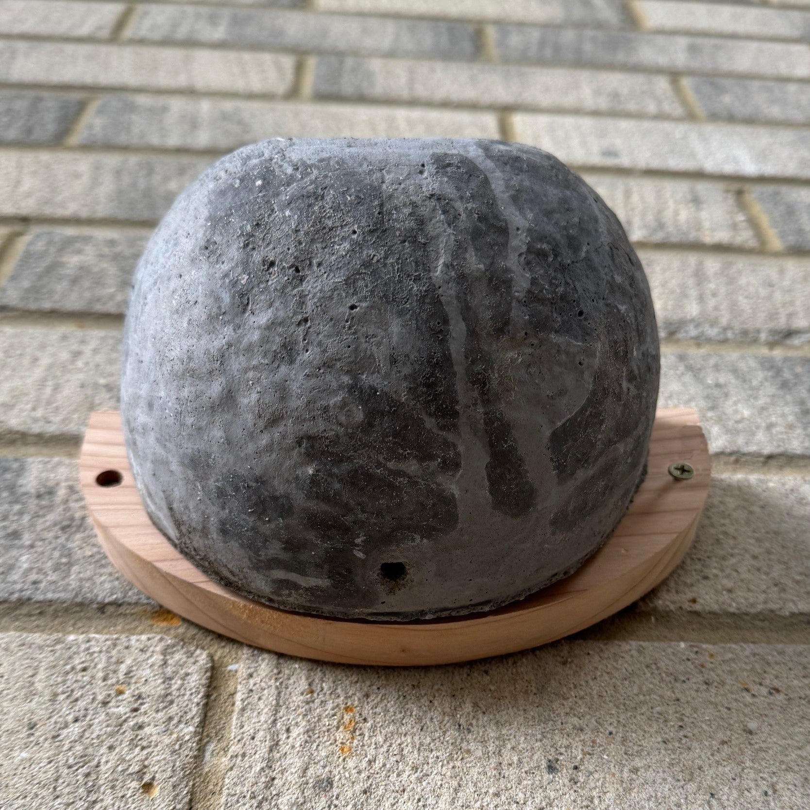 Concrete House Martin Bird Nest Box Rounded Half Cup Nester