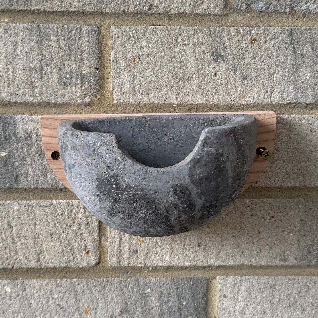 Concrete House Martin Bird Nest Box Rounded Half Cup Nester