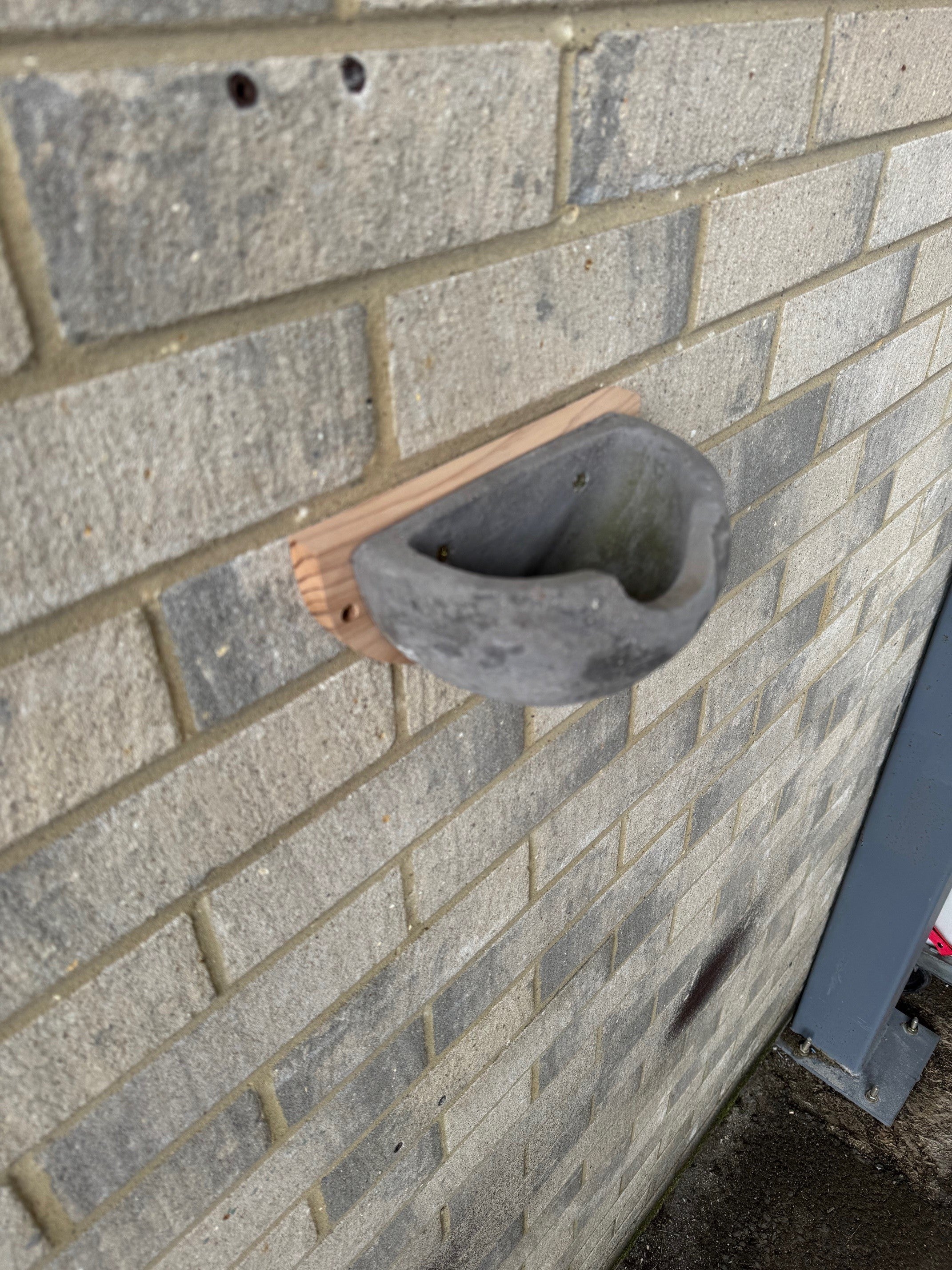 Concrete House Martin Bird Nest Box Rounded Half Cup Nester