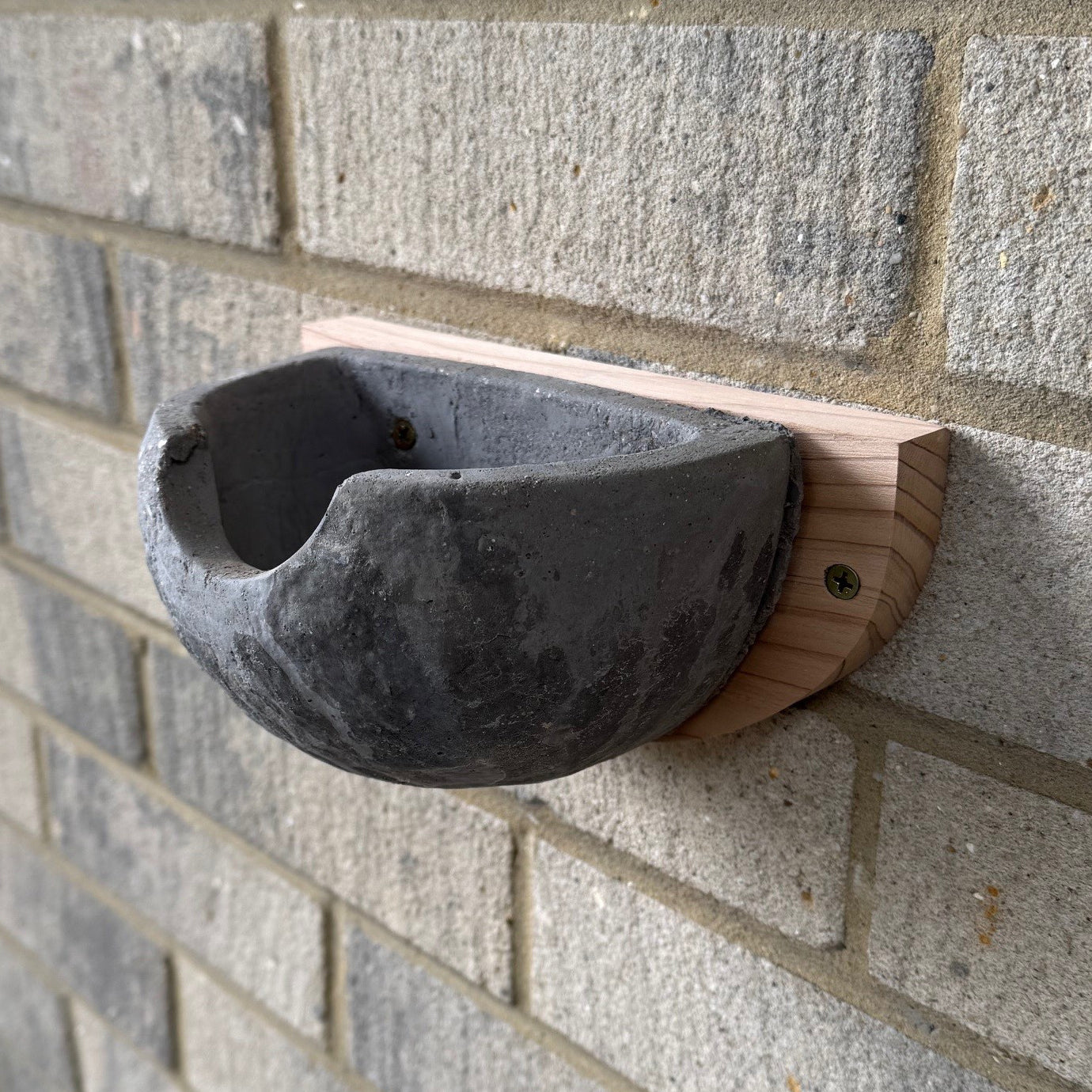 Concrete House Martin Bird Nest Box Rounded Half Cup Nester