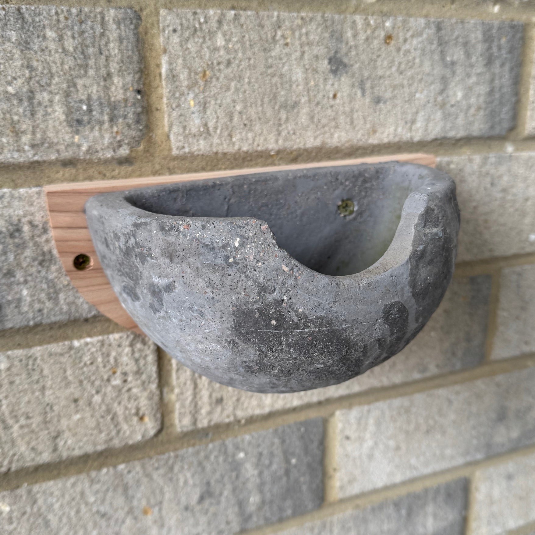 Concrete House Martin Bird Nest Box Rounded Half Cup Nester