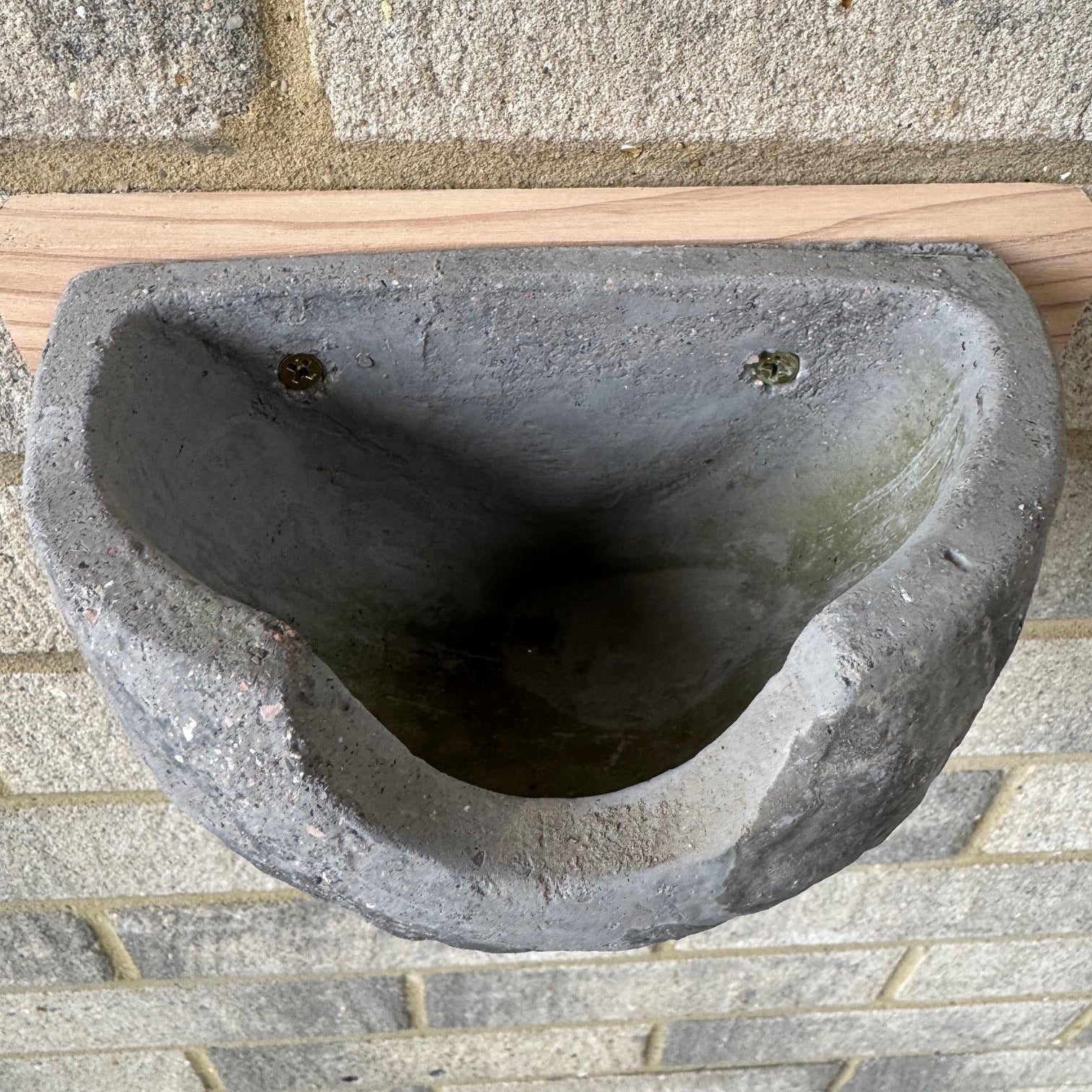 Concrete House Martin Bird Nest Box Rounded Half Cup Nester (Set of 2)