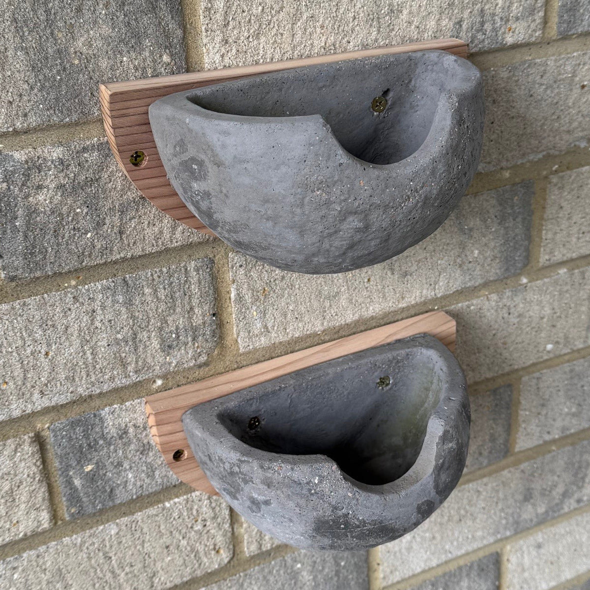 Concrete House Martin Bird Nest Box Rounded Half Cup Nester (Set of 2)