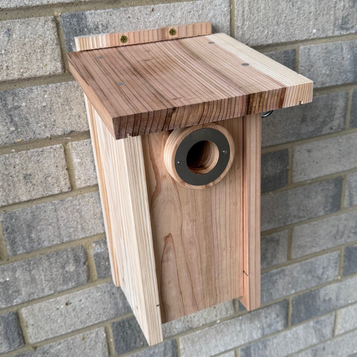 Premium Wooden Bird Nest Box House with Predator Proof Entrance