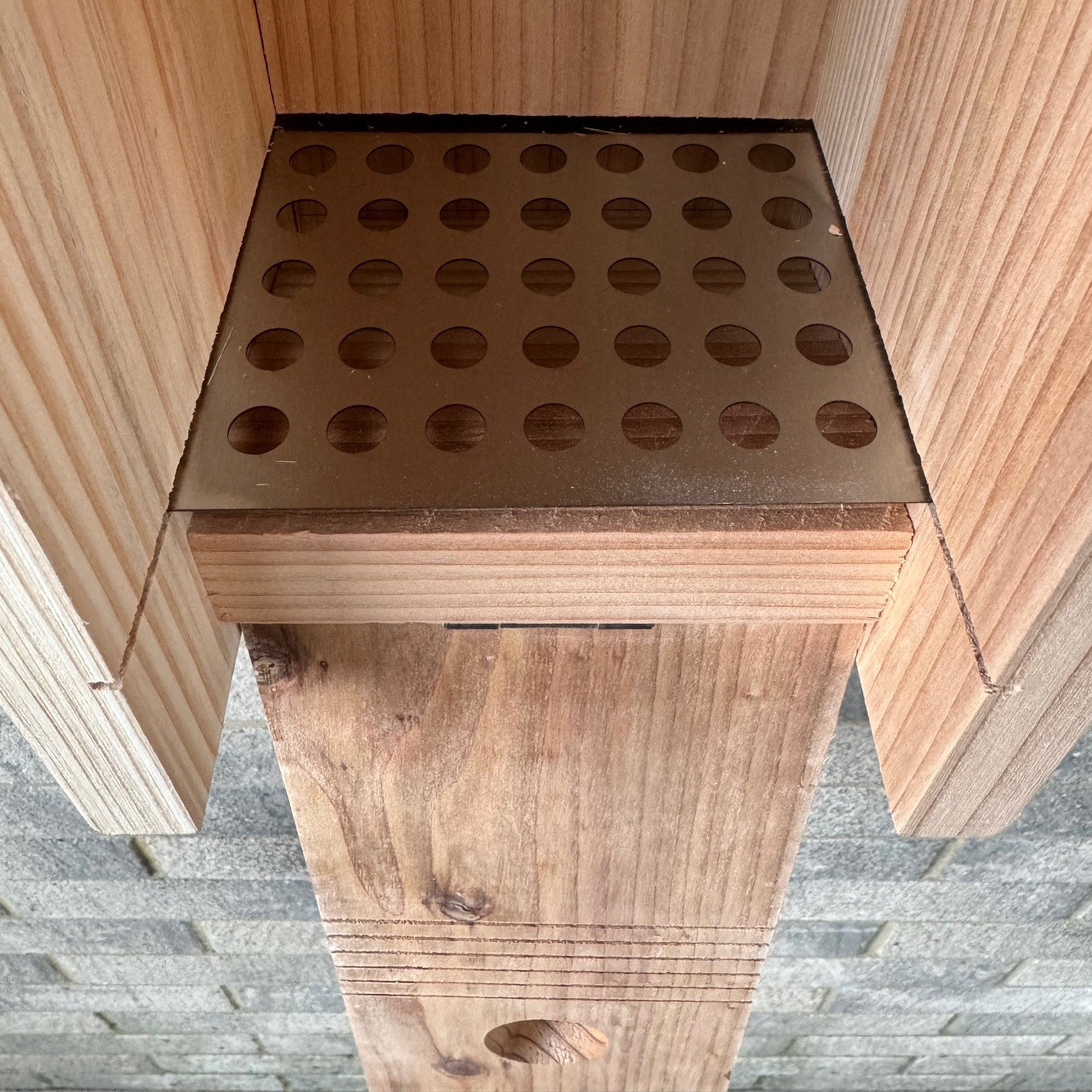 Premium Wooden Bird Nest Box House Predator Proof Entrance (Set of 2)