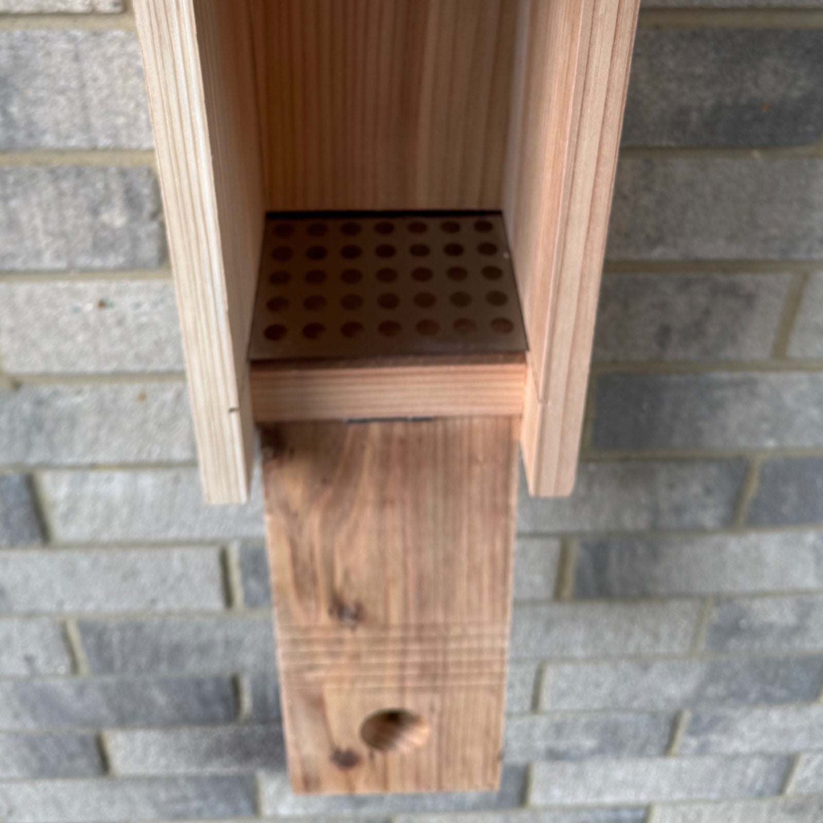 Premium Wooden Bird Nest Box House Predator Proof Entrance (Set of 2)