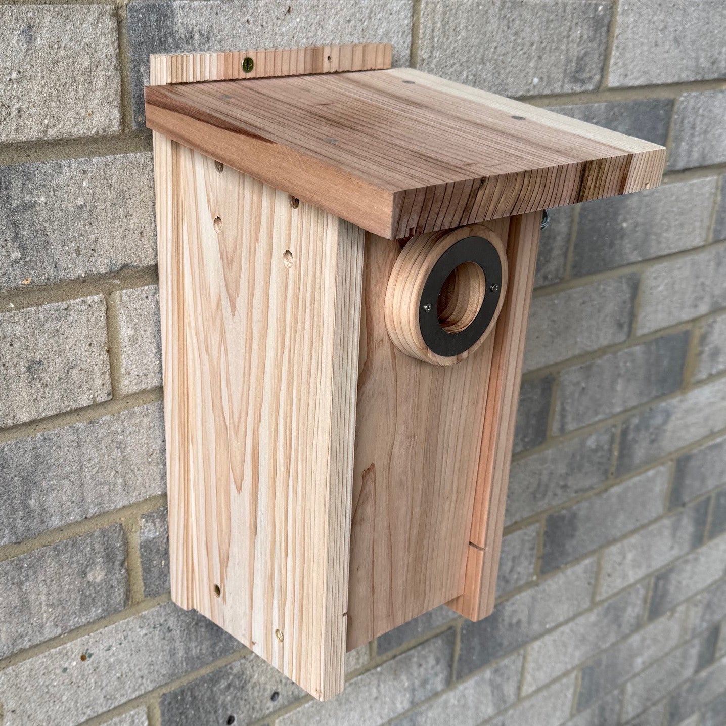 Premium Wooden Bird Nest Box House Predator Proof Entrance (Set of 2)