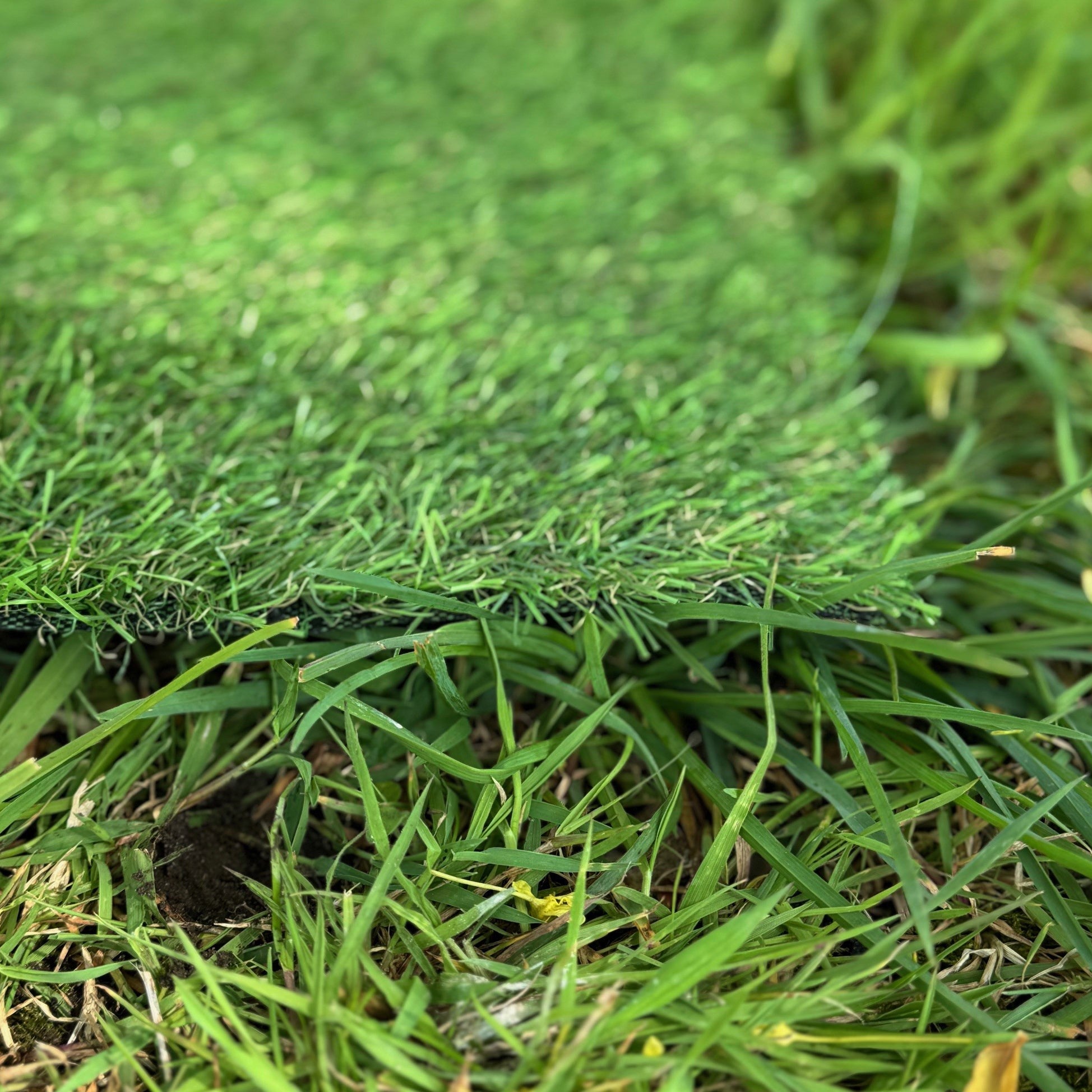 Artificial Lawn Grass Garden Turf with 20mm Pile (4m x 1m)