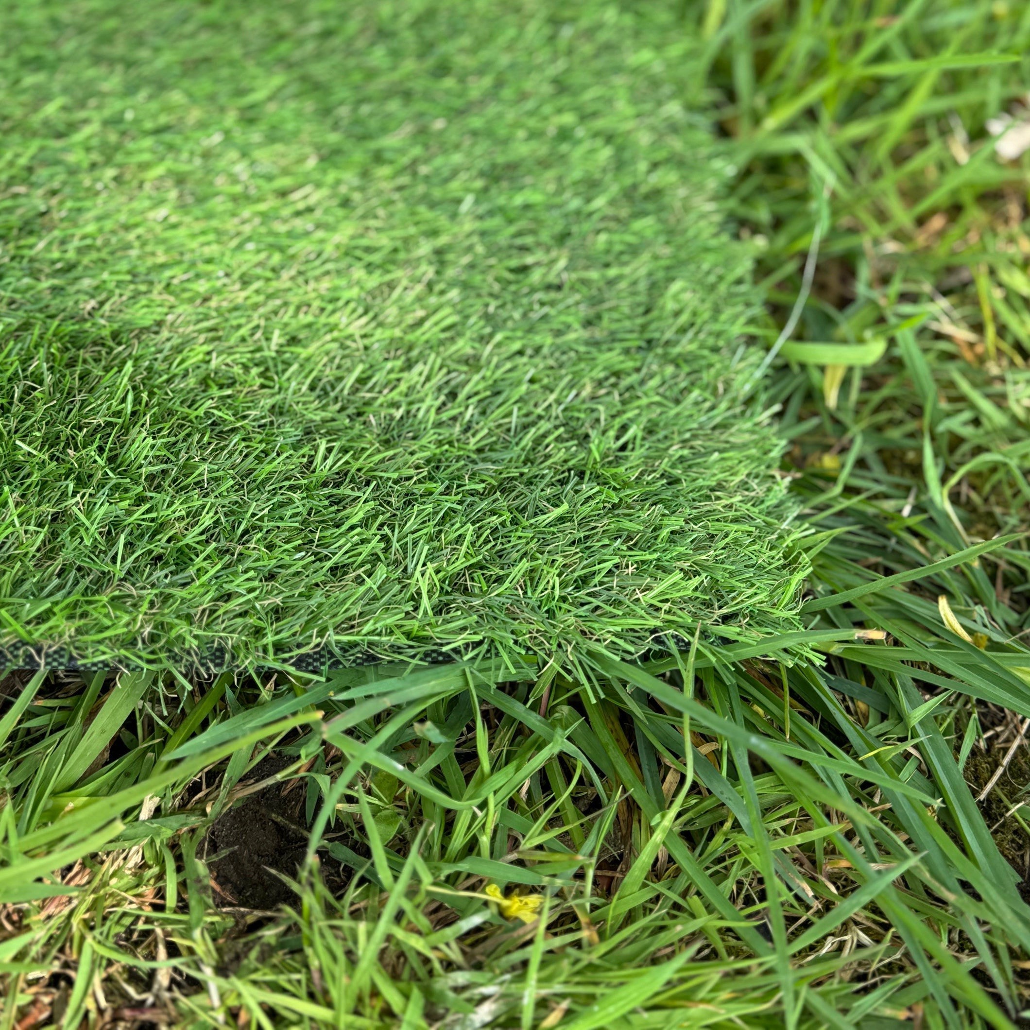 Artificial Lawn Grass Garden Turf with 20mm Pile (4m x 1m) -  3 Rolls