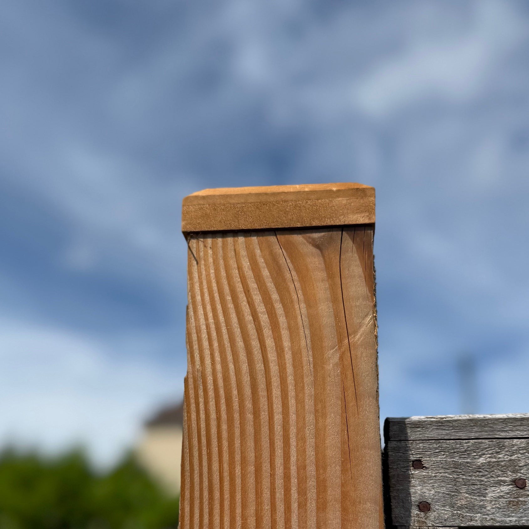 Wooden Fence Post Square Finial Caps - Pack of 20
