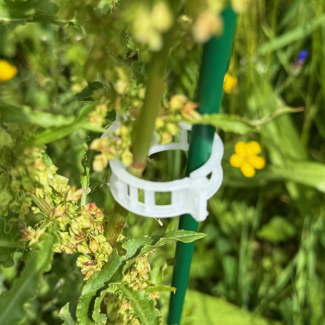 Garden Plant Support Plastic Clips Ideal for Tomatoes (25mm) - Pack of 100