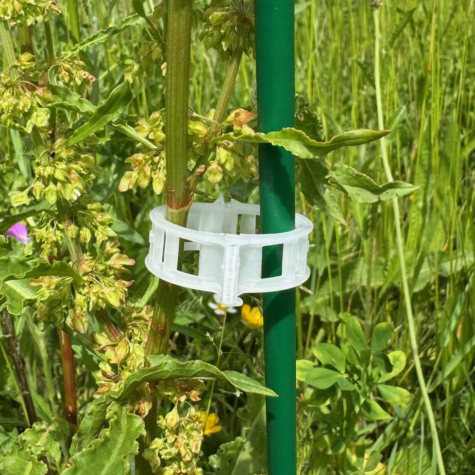 Garden Plant Support Plastic Clips Ideal for Tomatoes (25mm) - Pack of 100