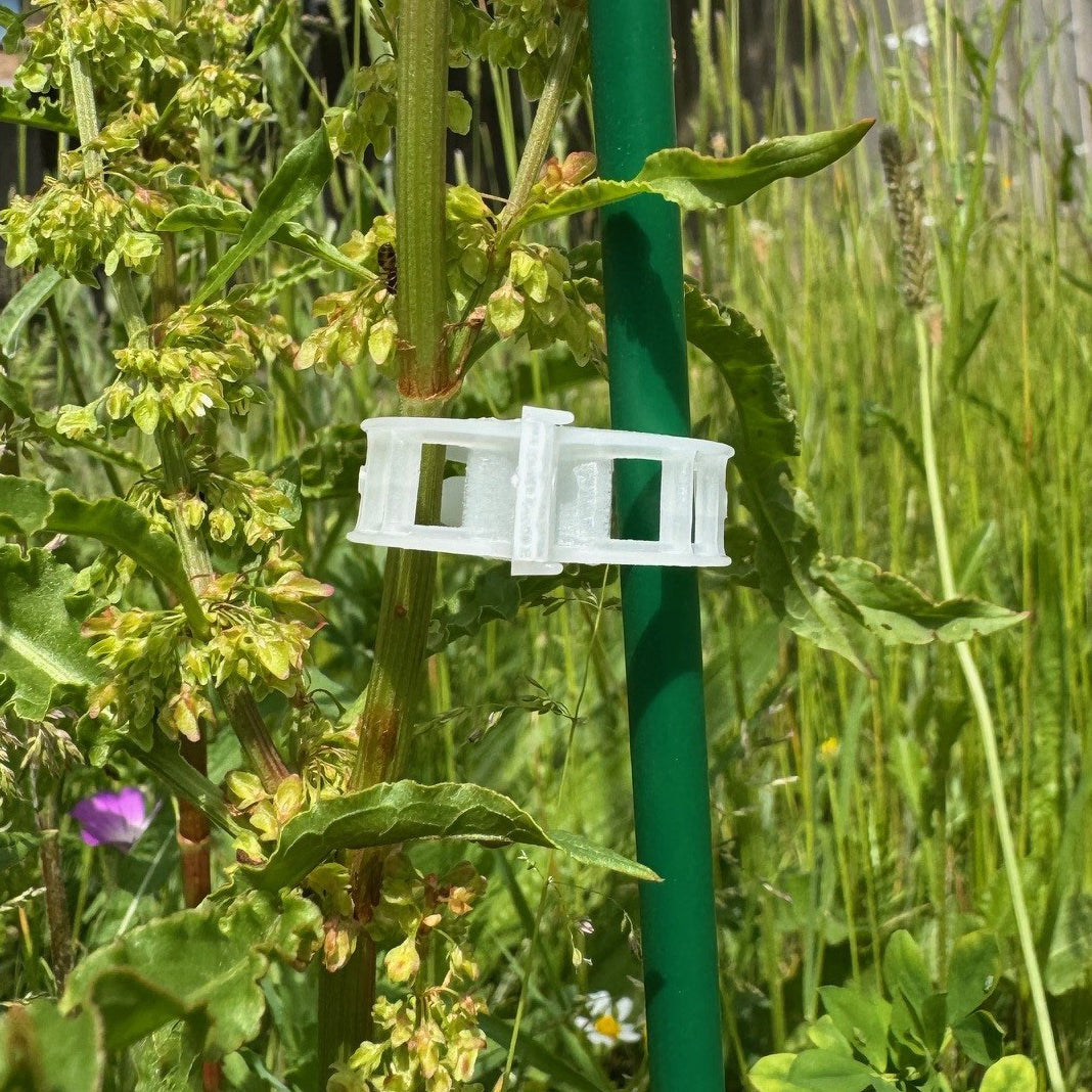 Garden Plant Support Plastic Clips Ideal for Tomatoes (25mm) - Pack of 100