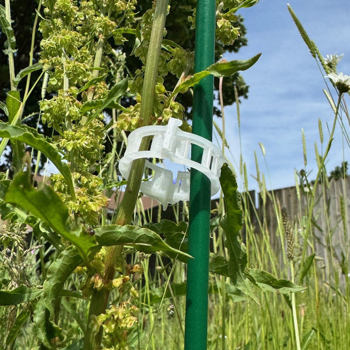 Garden Plant Support Plastic Clips Ideal for Tomatoes (25mm) - Pack of 100