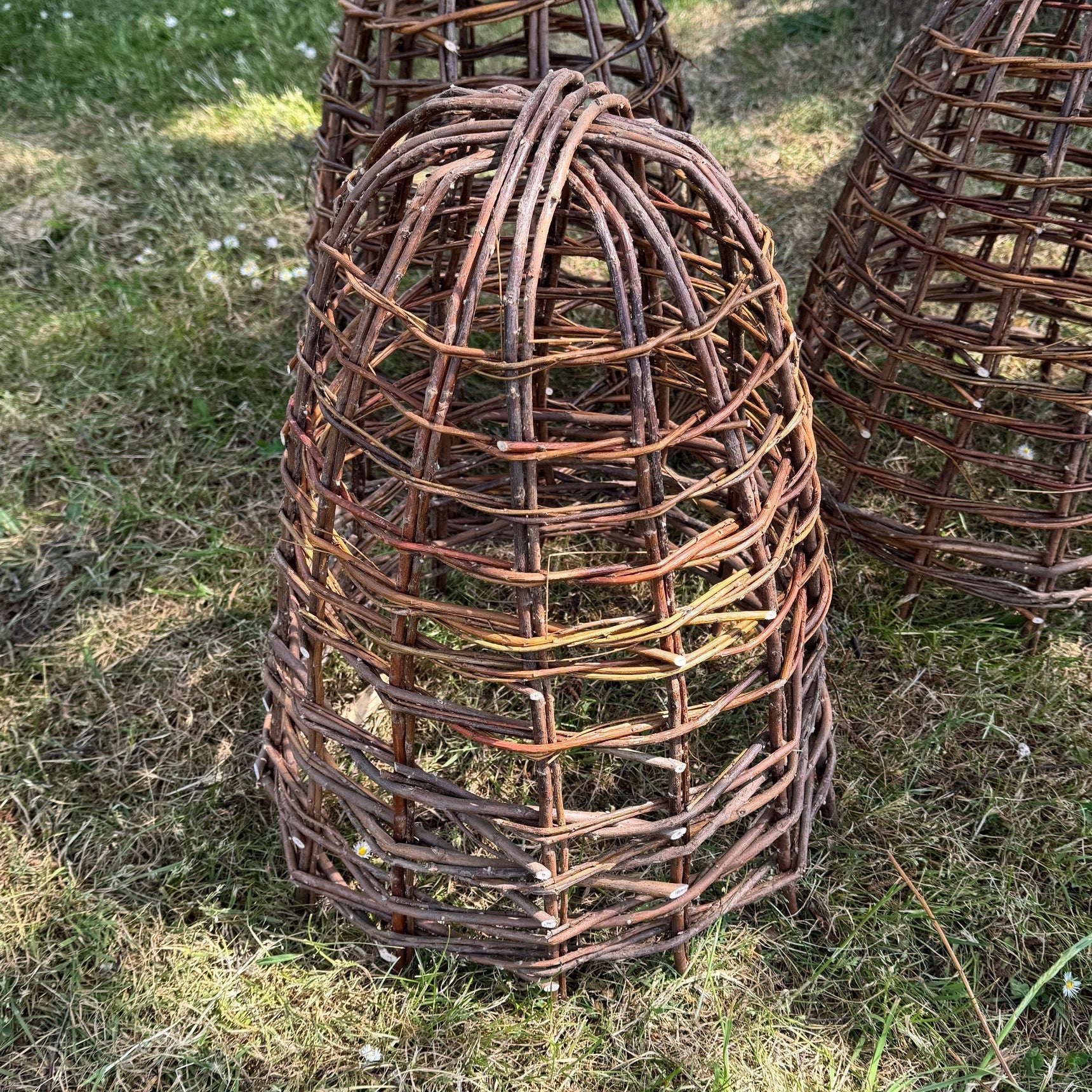 Willow Herbaceous Plant Protection Cloches (Set of 3)