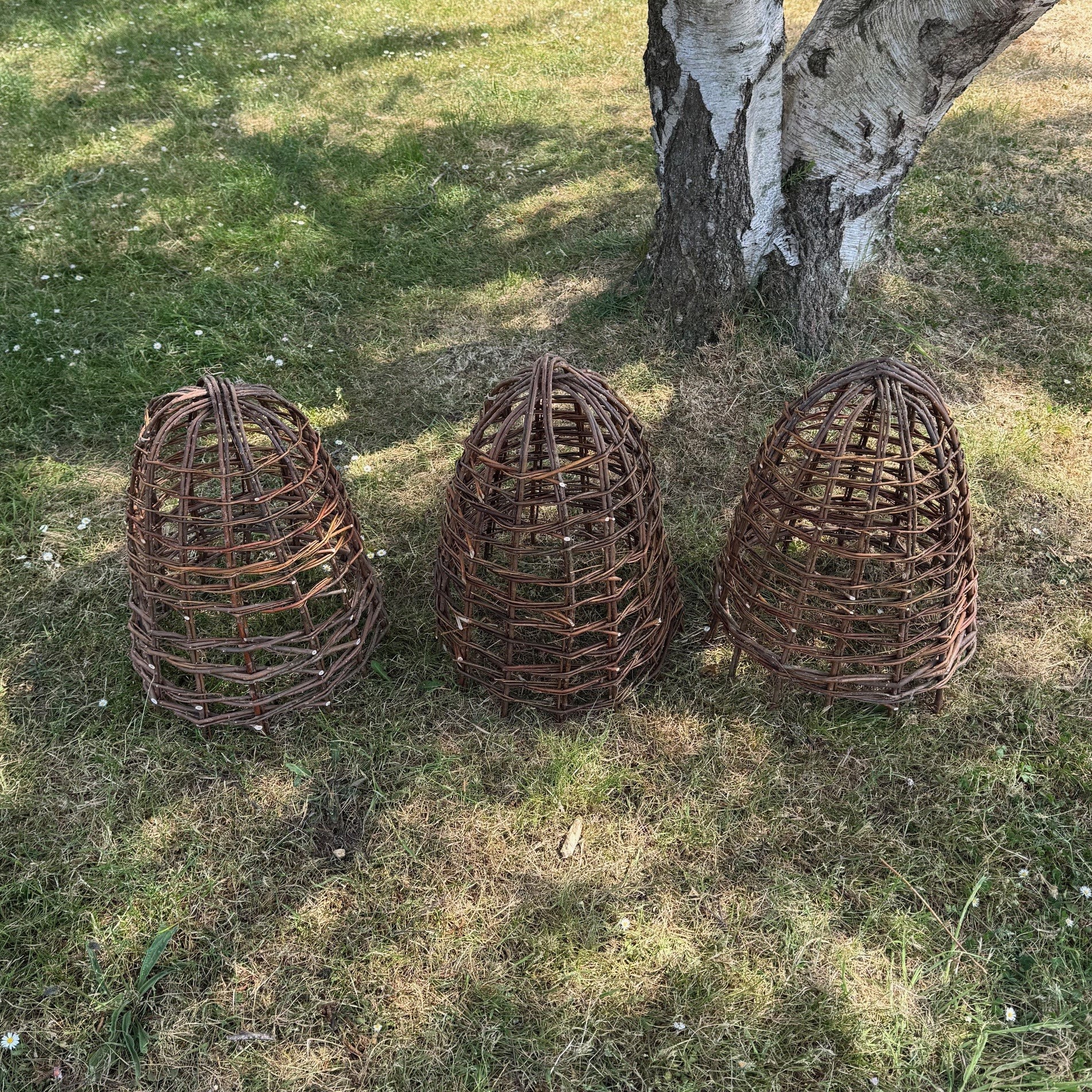 Willow Herbaceous Plant Protection Cloches (Set of 3)