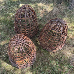 Willow Herbaceous Plant Protection Cloches (Set of 3)