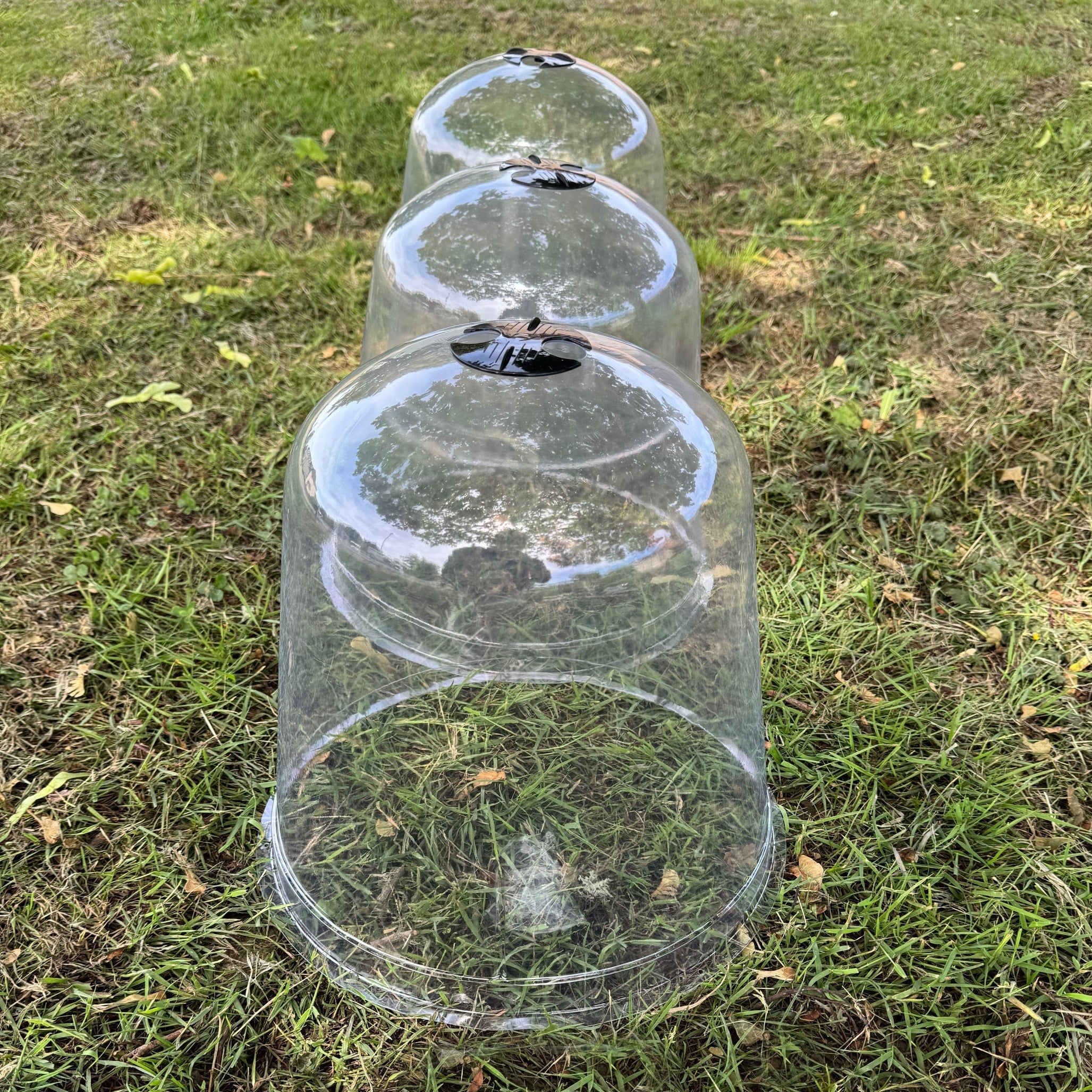 Large Plastic Plant Protection Bell Cloche Covers with Ground Pegs - Pack of 6