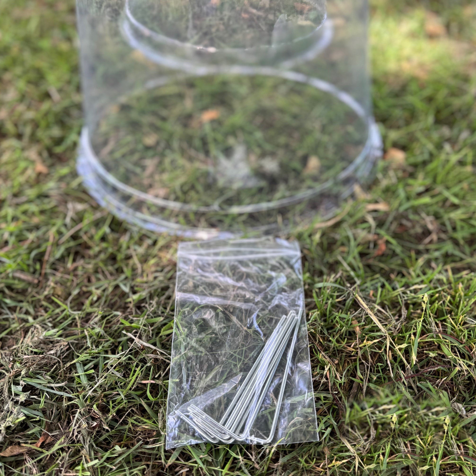 Large Plastic Plant Protection Bell Cloche Covers with Ground Pegs - Pack of 6