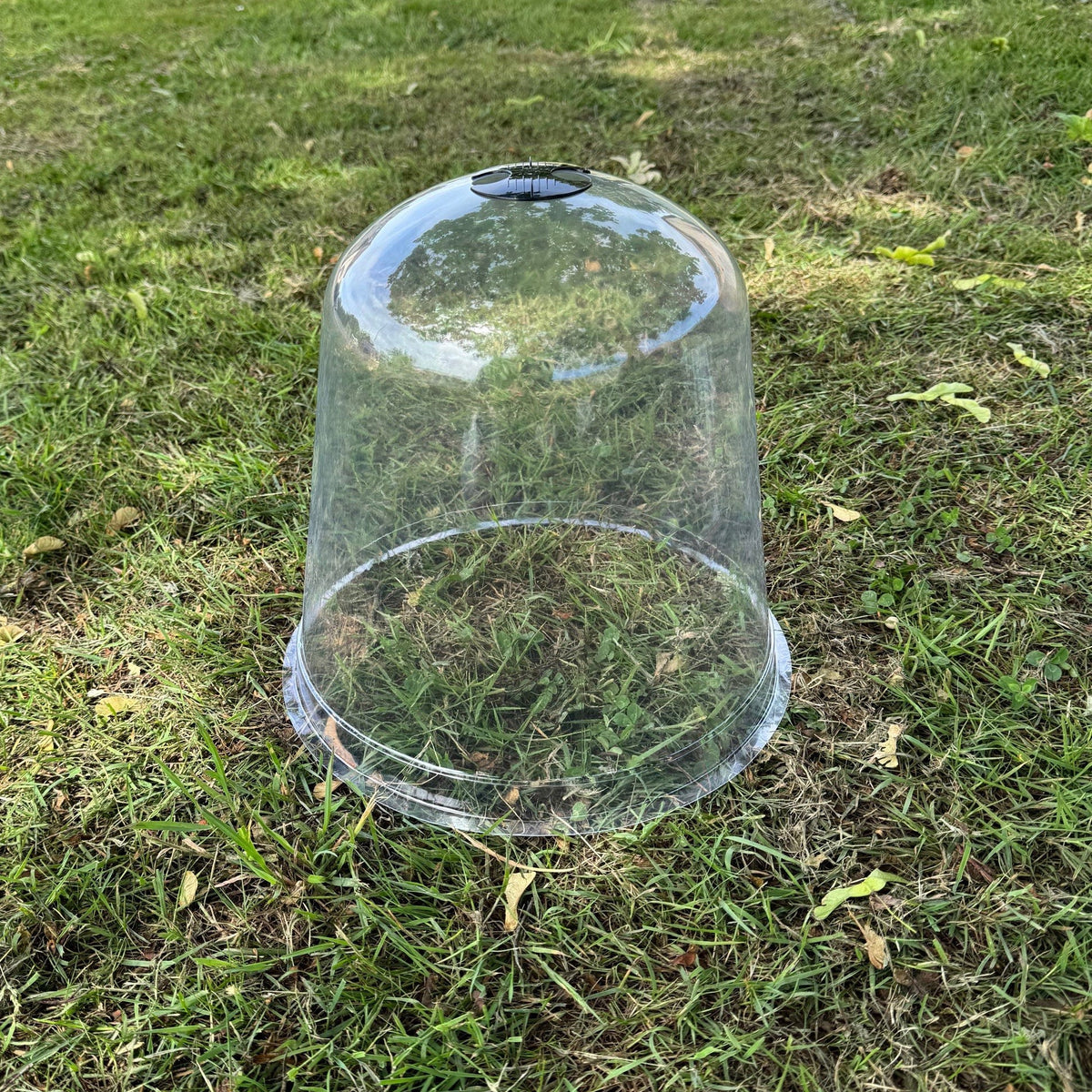 Large Plastic Plant Protection Bell Cloche Covers with Ground Pegs - Pack of 6