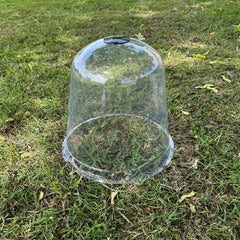 Large Plastic Plant Protection Bell Cloche Covers with Ground Pegs - Pack of 6