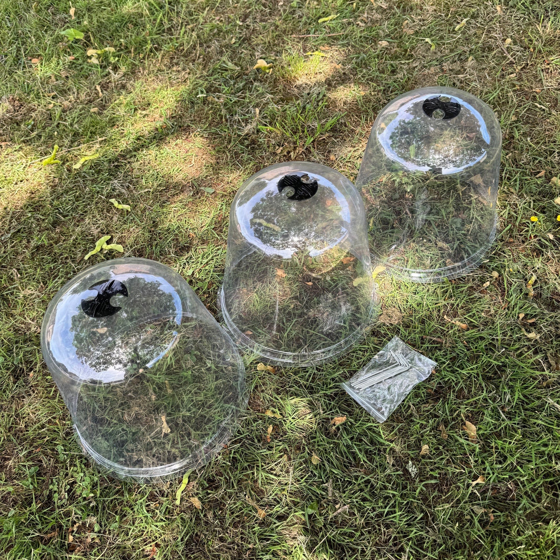 Large Plastic Plant Protection Bell Cloche Covers with Ground Pegs - Pack of 6