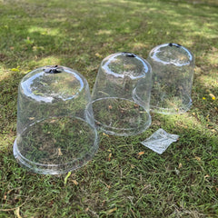 Large Plastic Plant Protection Bell Cloche Covers with Ground Pegs - Pack of 6