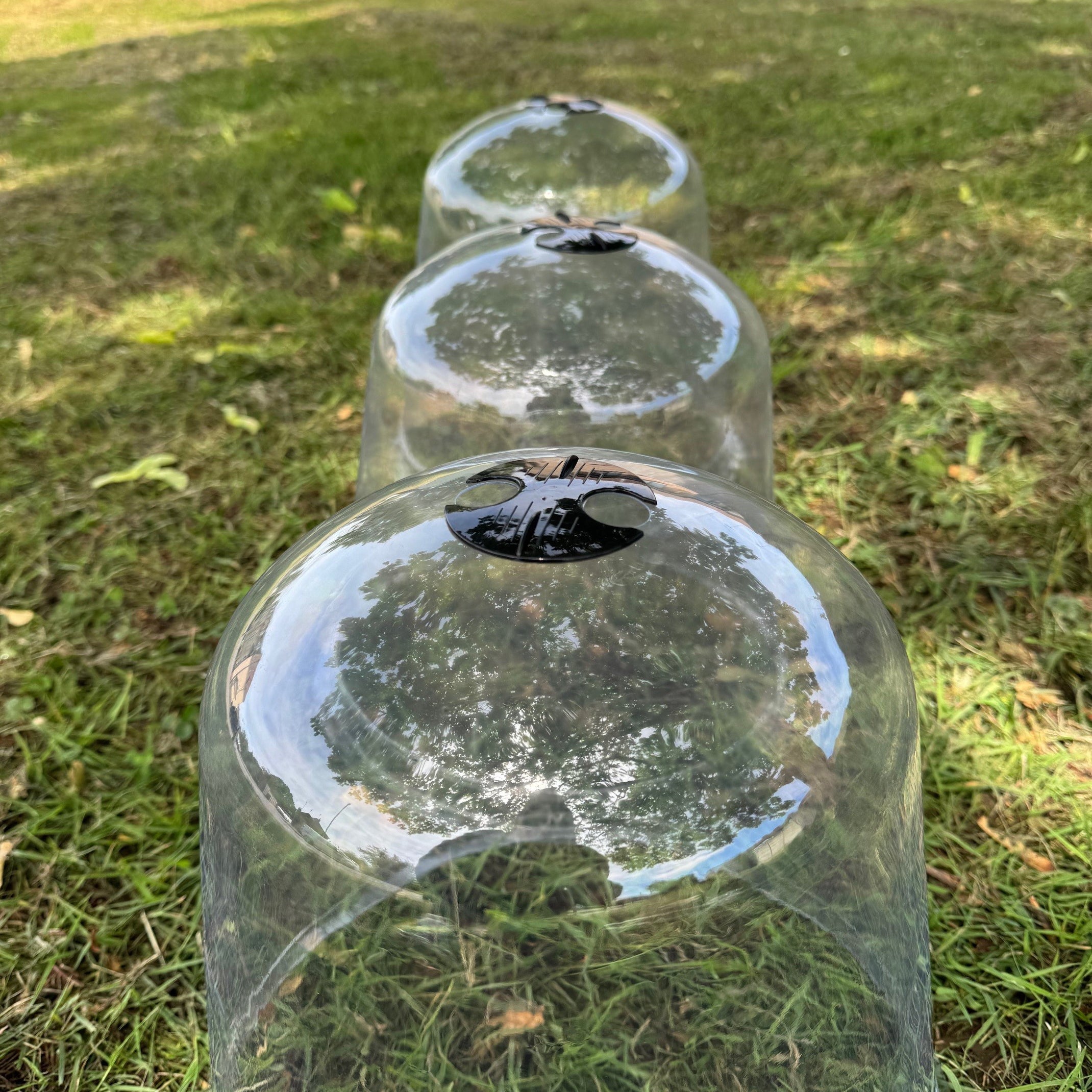 Large Plastic Plant Protection Bell Cloche Covers with Ground Pegs - Pack of 6