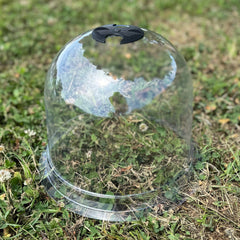 Plastic Plant Protection Bell Cloche Covers with Ground Pegs - Pack of 10