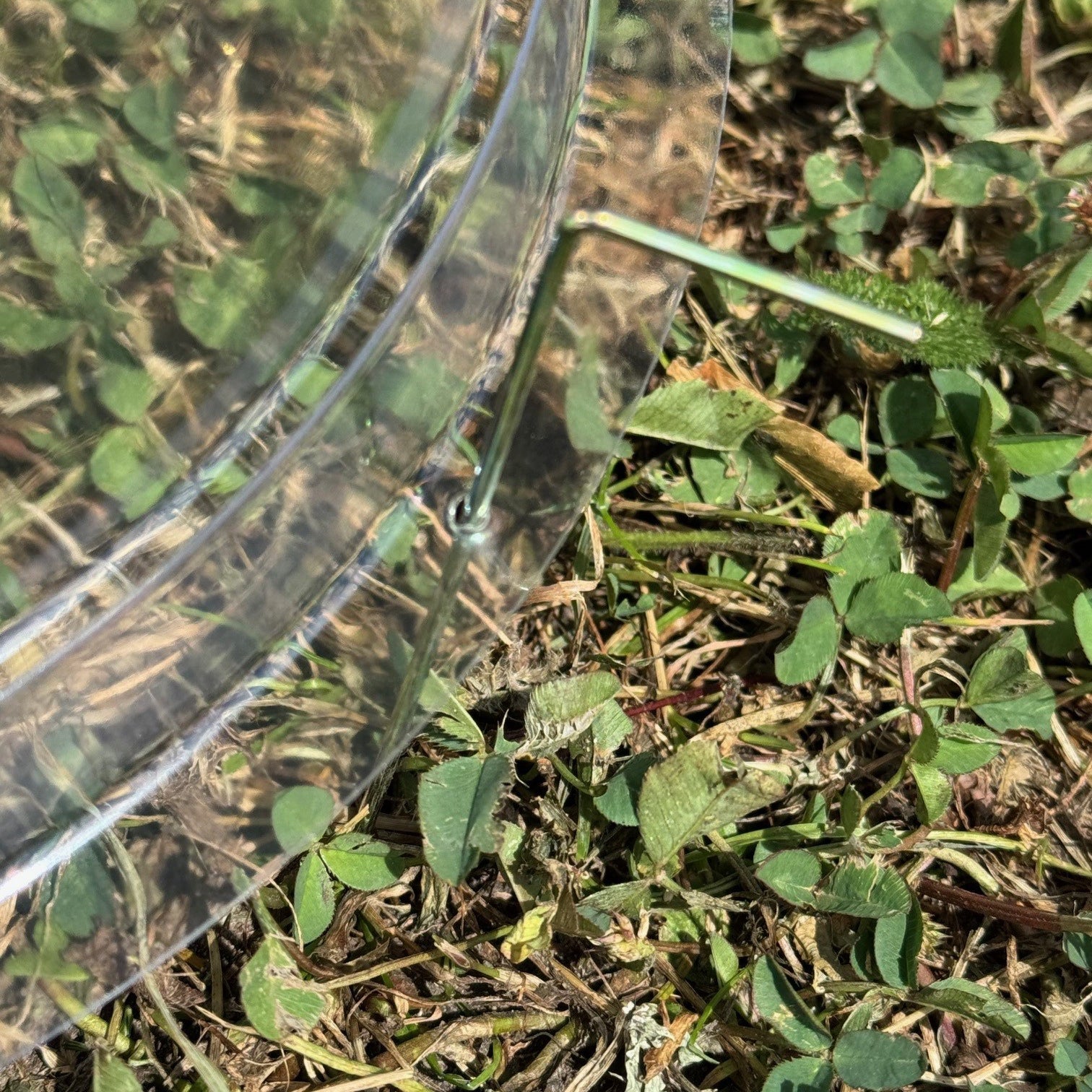 Plastic Plant Protection Bell Cloche Covers with Ground Pegs - Pack of 10