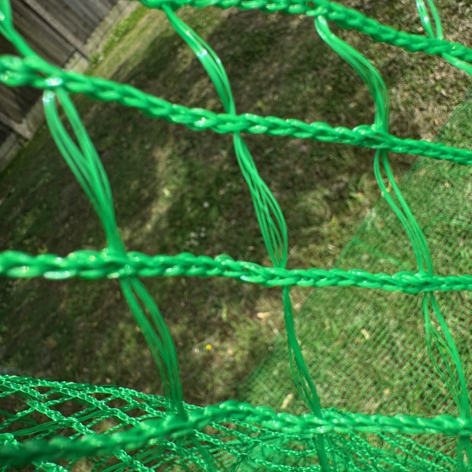 Anti Butterfly Plant Protection Netting (5m x 2m)