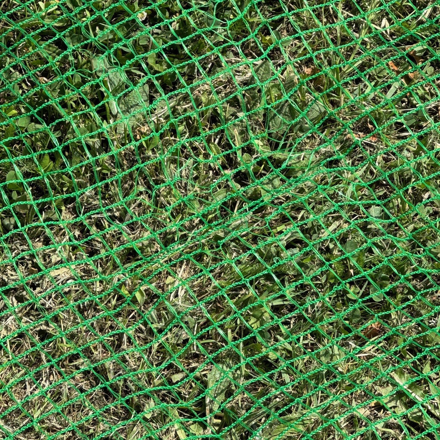 Anti Butterfly Plant Protection Netting (5m x 2m)