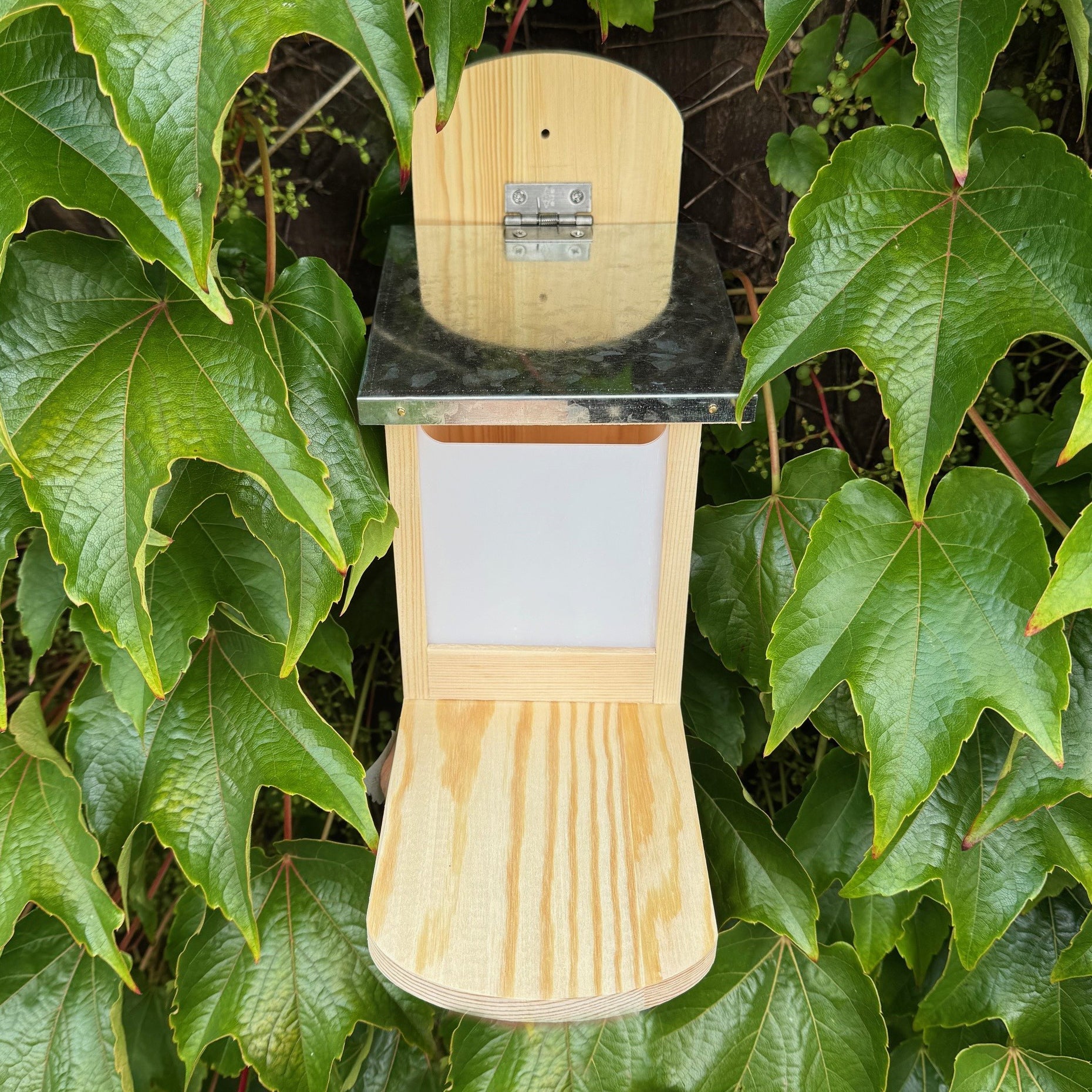 Wooden Wall Mounted Squirrel Feeder with Feeding Platform & Metal Roof