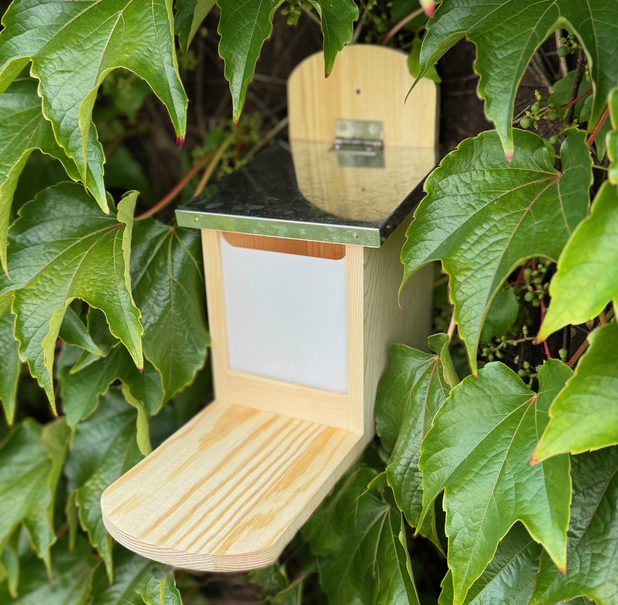 Wooden Wall Mounted Squirrel Feeder with Feeding Platform & Metal Roof