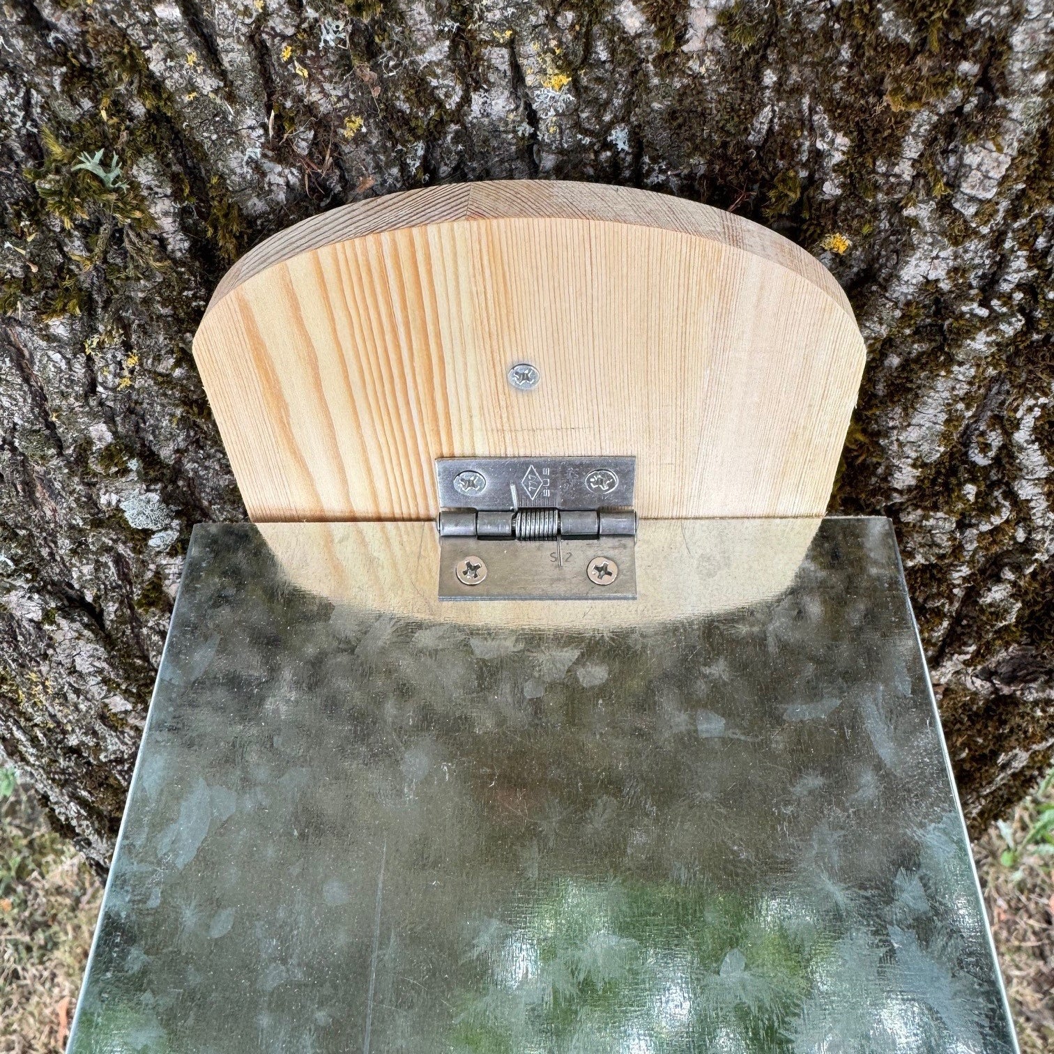 Wooden Wall Mounted Squirrel Feeder with Feeding Platform & Metal Roof