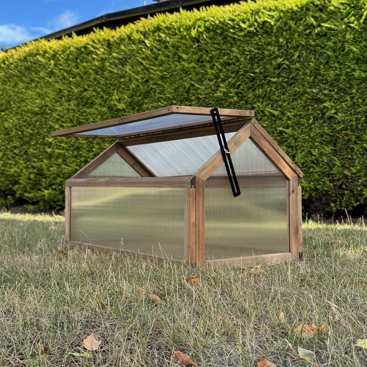 Wooden Framed Polycarbonate Apex Cold Frame & Stand