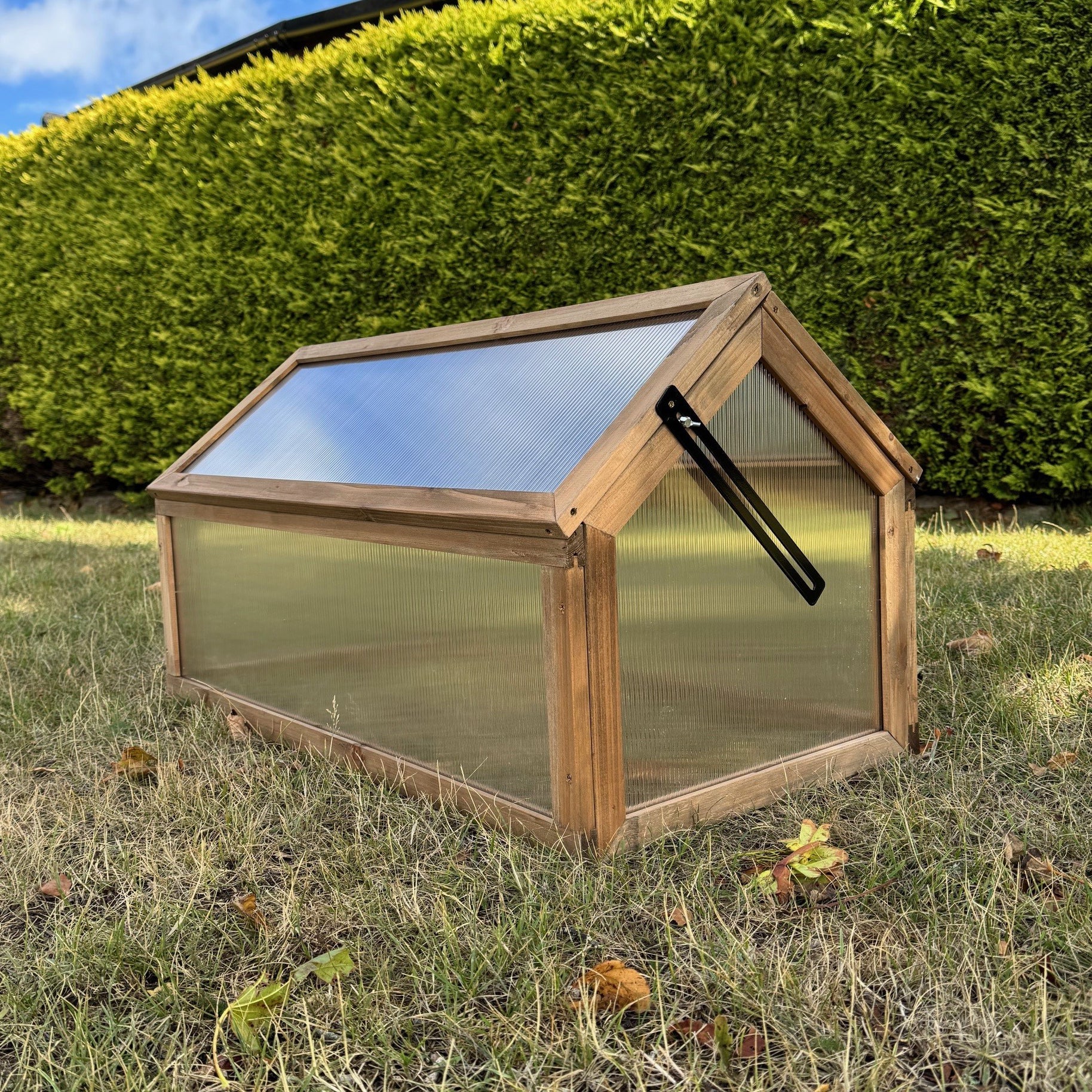 Wooden Framed Polycarbonate Apex Cold Frame & Stand