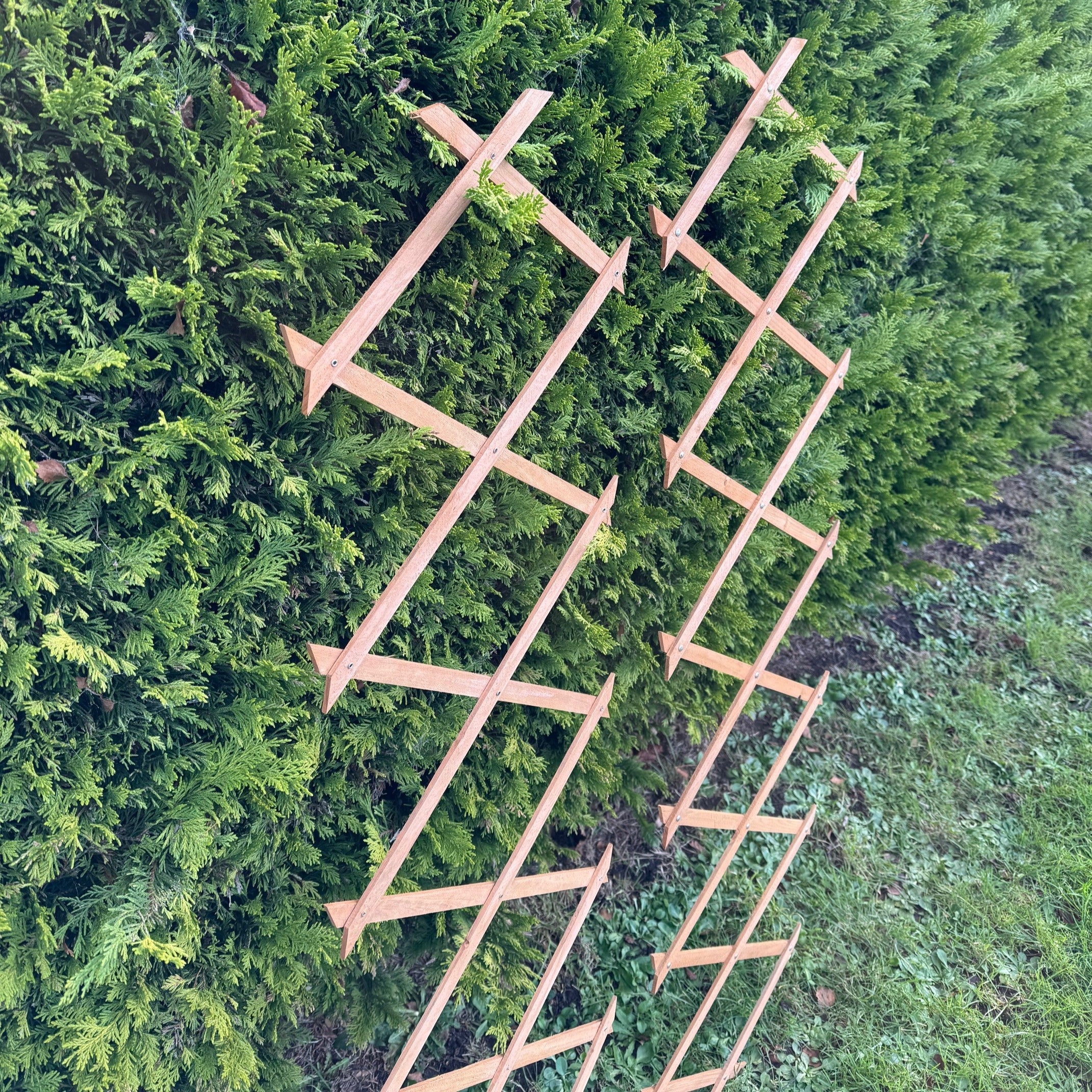 Expanding Wooden Garden Trellis (180cm x 30cm) -  Pack of 2