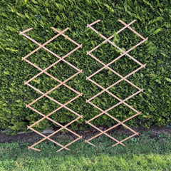 Expanding Wooden Garden Trellis (180cm x 60cm) -  Pack of 2