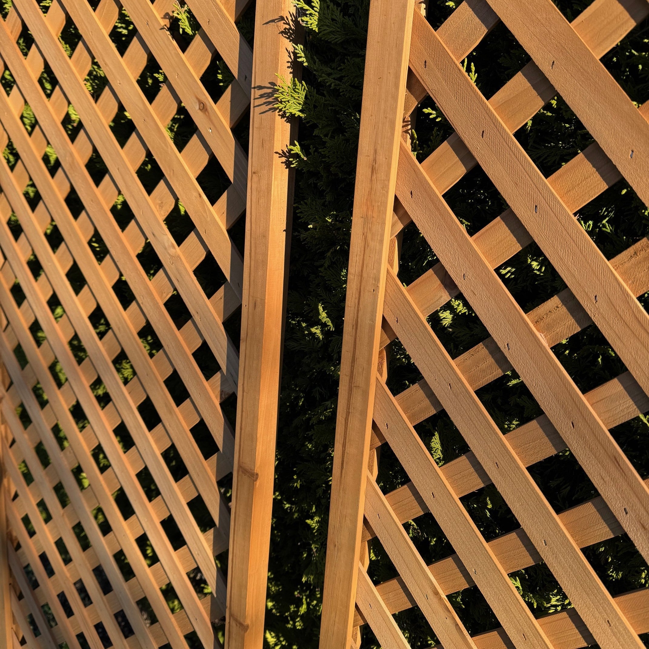 Wooden Framed Trellis Fence Panels (180cm x 60cm) - Pack of 2
