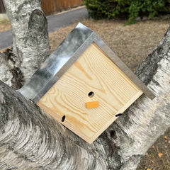 Wooden Bumble Bee Nest Box House Garden Habitat